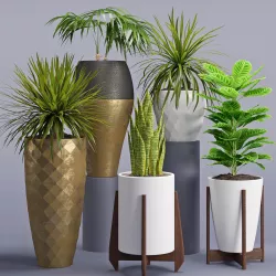 Houseplant 28 3D model