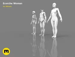 Human model Ecorche woman  3D model