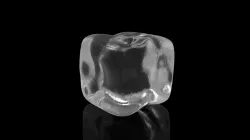 Ice Cube