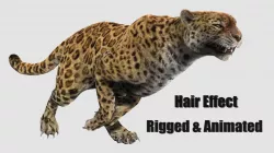 leopard panther puma jaguar Low-poly  3D model
