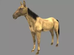 Modal Horse2 Low-poly  3D model