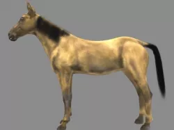 Modal Horse3 Low-poly  3D model