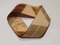 Moebius strip