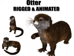 otter beaver hair Low-poly  3D model