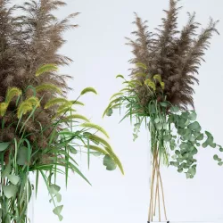Pennisetum and Pampas grass with Eucalyptus 3D model