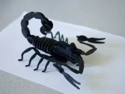 Scorpion