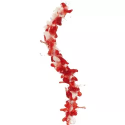 Splash Line 3D model