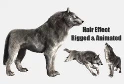 wolf wild dog husky beast howl hair 3D model