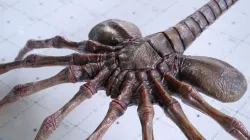 Alien Facehugger - 3D Asset Kit PBR Low-poly  3D model