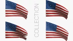 American Union Flags 3D Model Collection