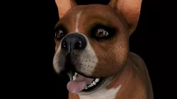 ANML-028 Animated Dog 3D model