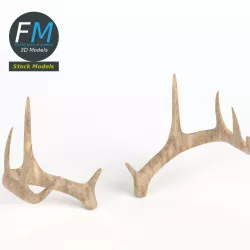 Antlers 3D model