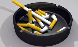 Ashtray and Cigarettes 3D model