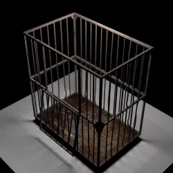 Asylum Cage Model 3D model