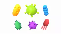 Bacteria Pack 3D model