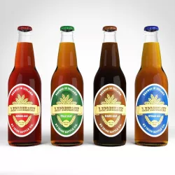 Beer Bottle Bottles Product Design Realistic 3D Model 3D 3D model