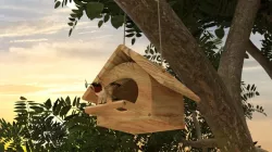 Bird Box 3D model