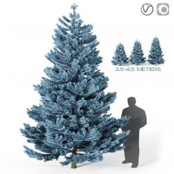 avatar blue spruce 3d models 【 STLFinder