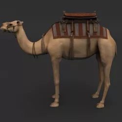 Camel 3D model
