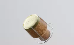 champagne bottle cork with pbr textures 3D model