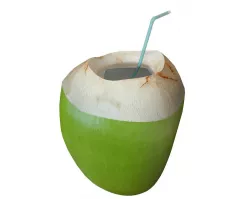 Coconut sliced water Low-poly  3D model