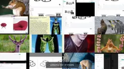collection test 