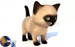 Cute Cat Kitten Rigged Lowpoly 3d Model  Low-poly  3D model