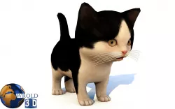Cute Kitten Cat Rigged Lowpoly 3D Model Low-poly  3D model