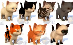 Cute Kitten Rigged Lowpoly 3D Model Collection Pack 