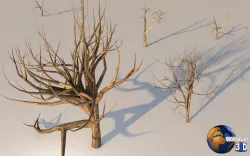 Dead Tree Collection Pack Lowpoly 3D Model Low-poly  3D model