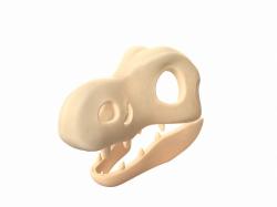 Dinosaur Skull 3D model