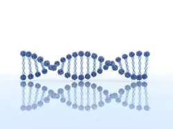 DNA Model 2 3D model