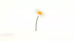 Flower 3D model