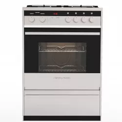 Gas stove  Fisher and Pakel 3D model