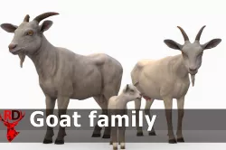 Goat family Low-poly  3D model