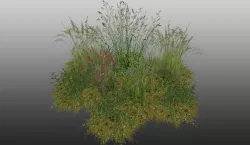 Grass Low-poly  3D model