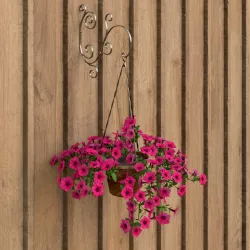 Hanging flower 3D model