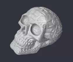 human skull stl models for 3d printing and artcam programmes  3D model