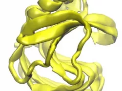 Jelly Roll Protein