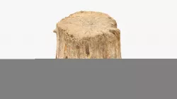 Log Round Big Low-poly  3D model