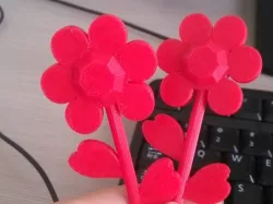 lovely flower