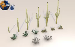 Lowpoly Desert Plant Collection Pack 3D Model Low-poly  3D model