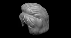Male hair  3D model