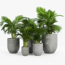 Neo Planter 3D model
