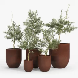 Neo Planter Rust 3D model