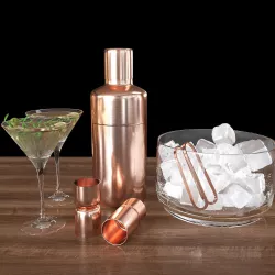 Orb Copper Shaker and viv glass martini 3D model