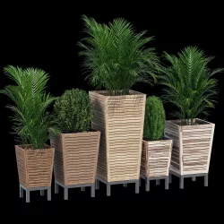 Ozone 3D model