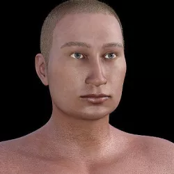 Putin Judo Master for Genesis 8 Male Low-poly  3D model