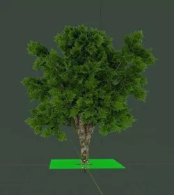 Realistic tree 3D model
