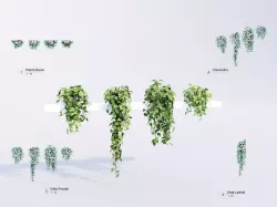Set Plant Revit High Quality 3D models 3D model